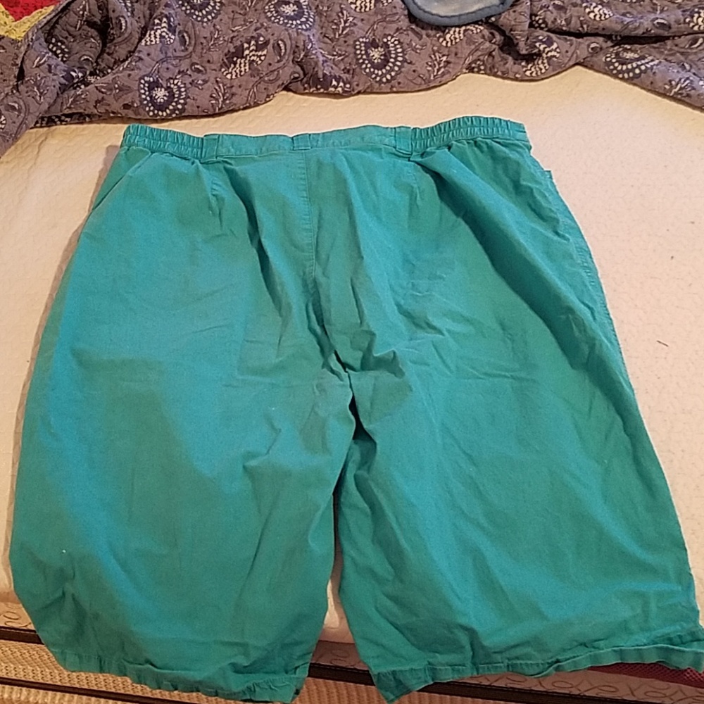 Capris - Picture 2 of 2